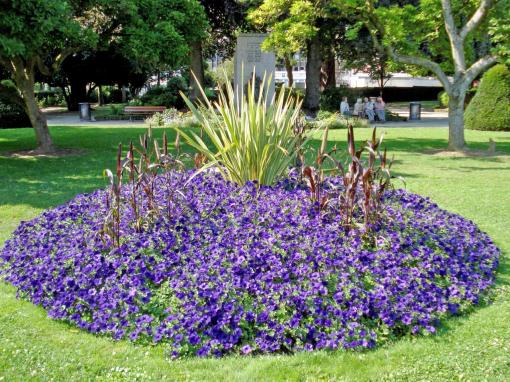 Saint-Quentin, parc des Champs Elysées, le jardin d'horticulture.