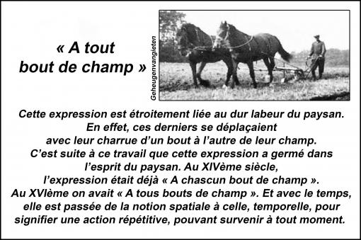 A tout bout de champ...