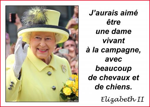 Adieu Madame...