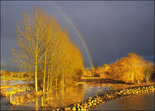 Après l'orage.