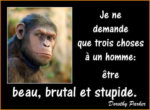 Beau et plus...