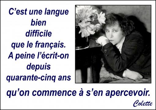 Bien difficile, le français.