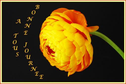 Bonne journée !