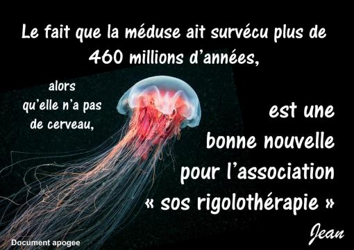Bonne nouvelle !