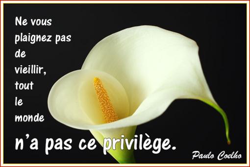 C'est un privilège...