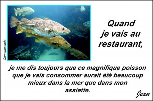 Dans la mer...