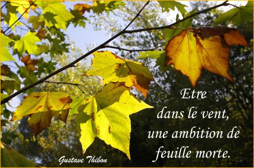 Dans le vent...