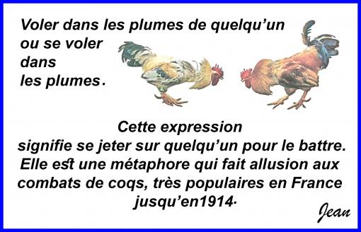 Dans les plumes...