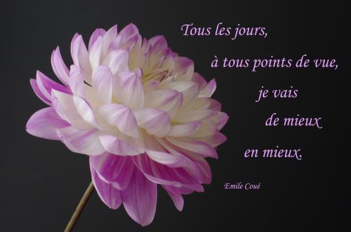 De mieux en mieux...