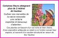 Des merveilles de la nature...