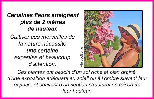 Des merveilles de la nature...
