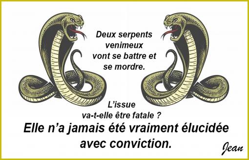 Fatale ou pas...