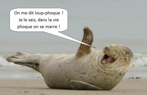 Loufoque !