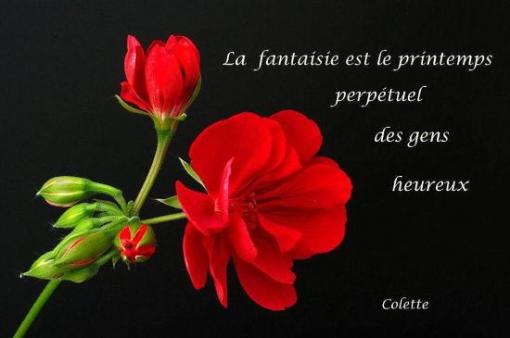 Colette.