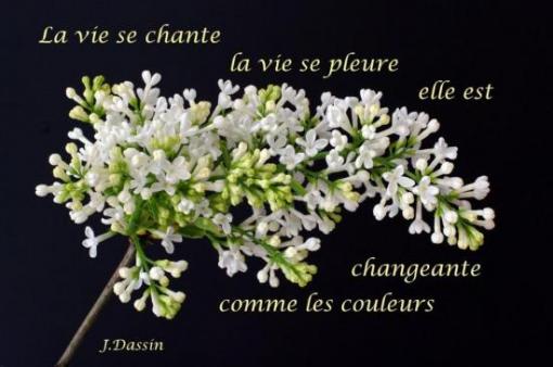 J. Dassin.