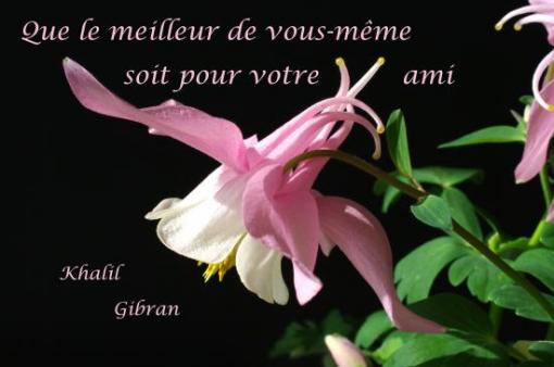 K. Gibran.