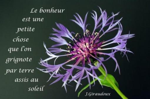 Jean Giraudoux.