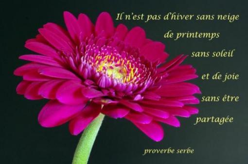 Proverbe serbe.