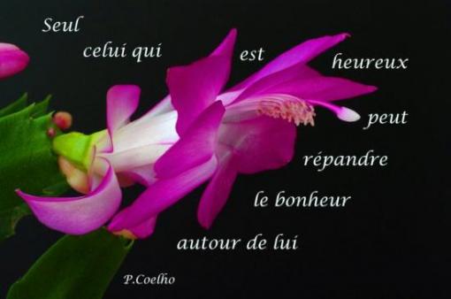 P. Coelho.