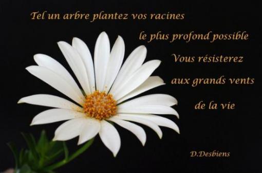 D. Desbiens.