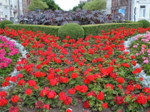 Place Longueville.