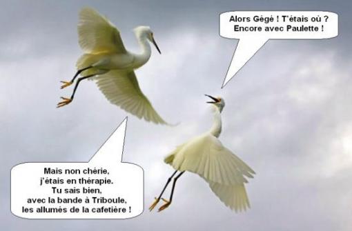 Mais non chérie...