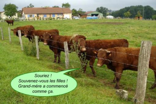 Oh la vache !