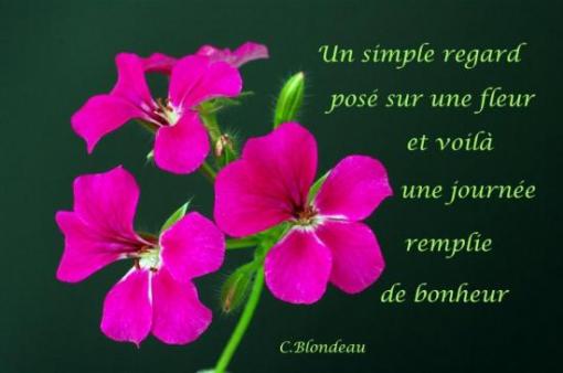 C. Blondeau.