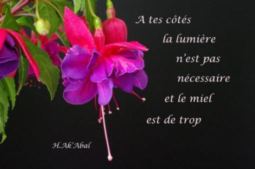 H. Ak'Abal.