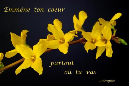 Auteur inconnu.
