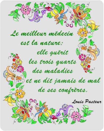 Le meilleur médecin.