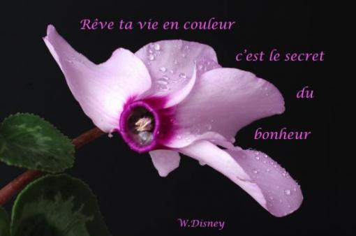 Walt Disney.