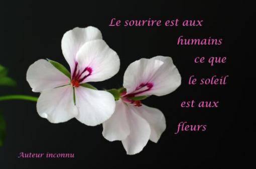 Auteur inconnu.