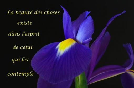 Auteur inconnu.