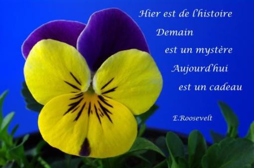 E. Roosevelt.