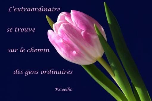 P. Coelho.