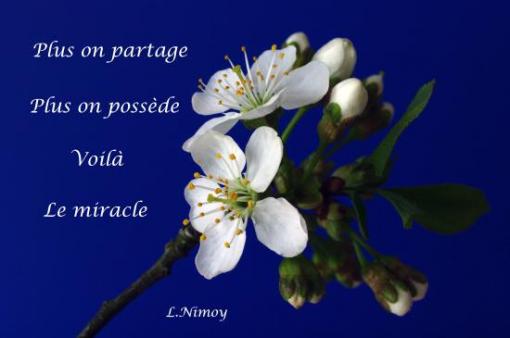 L. Nimoy.