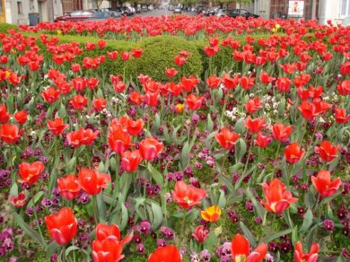 Place Longueville.