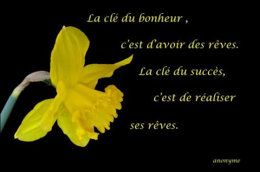 Auteur inconnu.