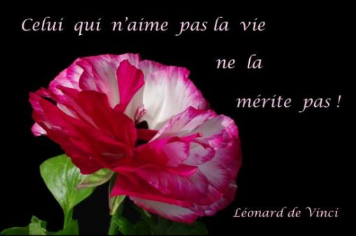 Léonard de Vinci.