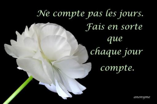 Auteur inconnu.