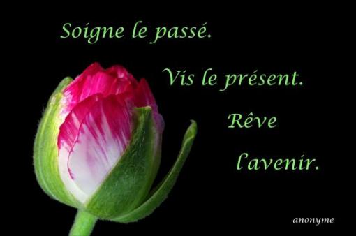 Auteur inconnu.