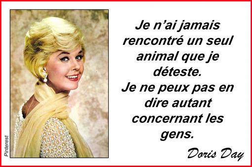 J'aime les animaux...