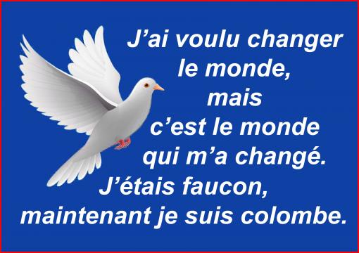 Je suis colombe...