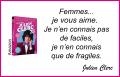 Je vous aime...