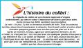 L' histoire du colibri...
