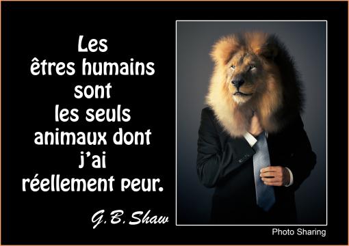 L homme, cet animal...