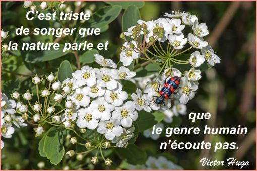 La nature parle...