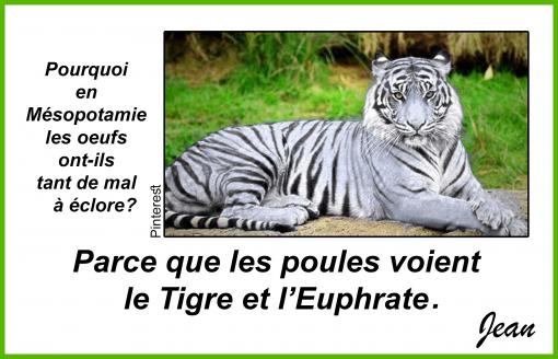 La peur du tigre...