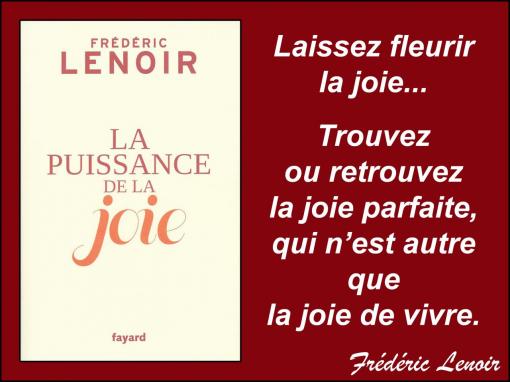 La Puissance de la Joie.